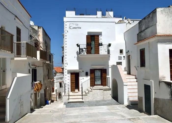 Bed & Breakfast Casanita 4*